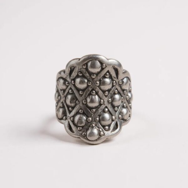 Ocampo - Imagen 2